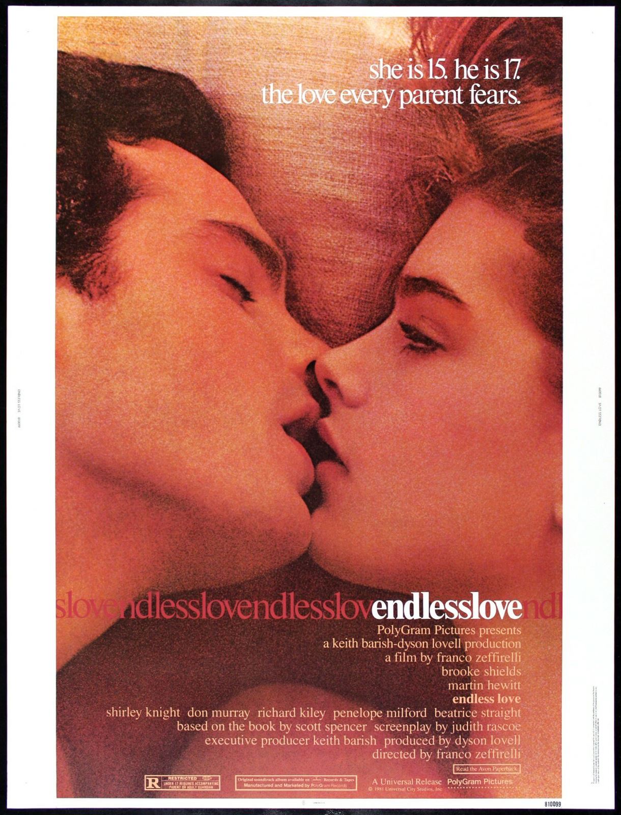 Original Endless Love movie poster