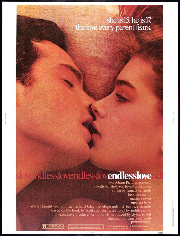Original Endless Love movie poster
