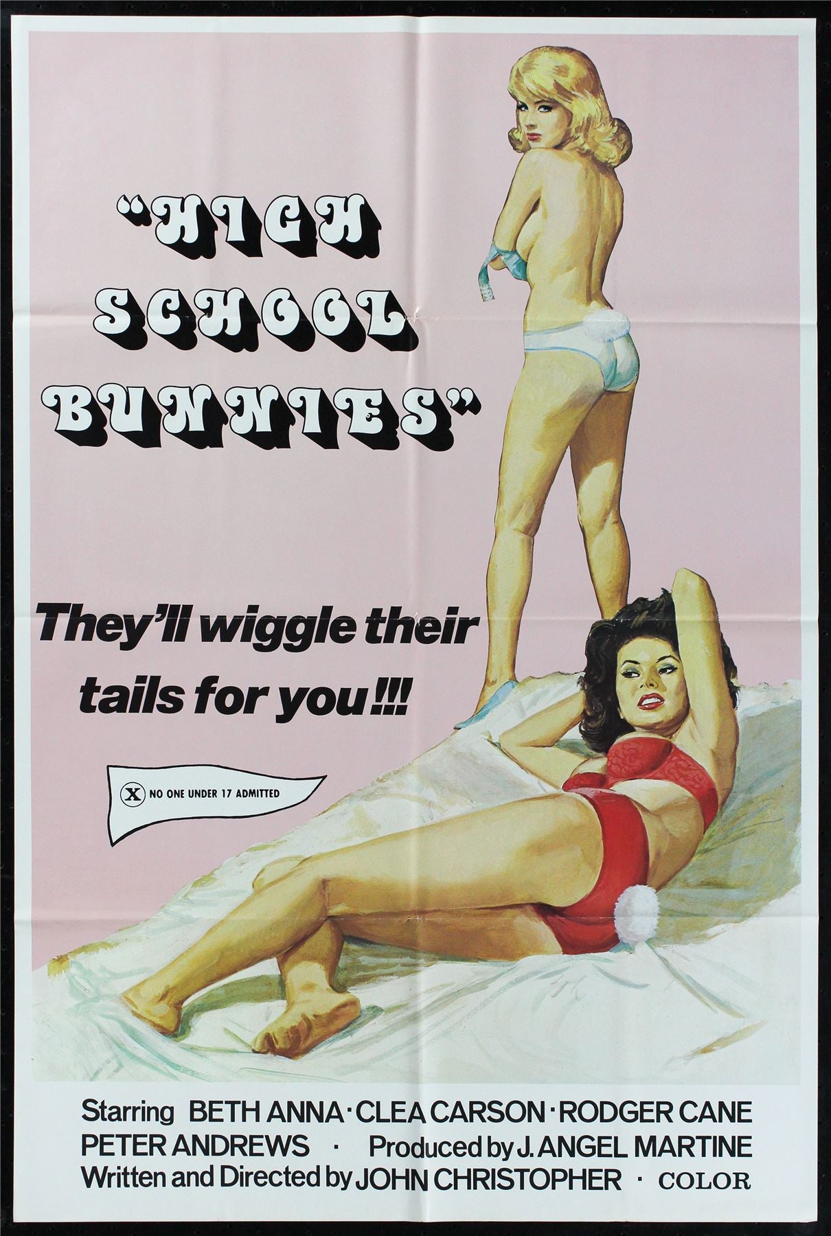 Original High School Bunnies movie poster