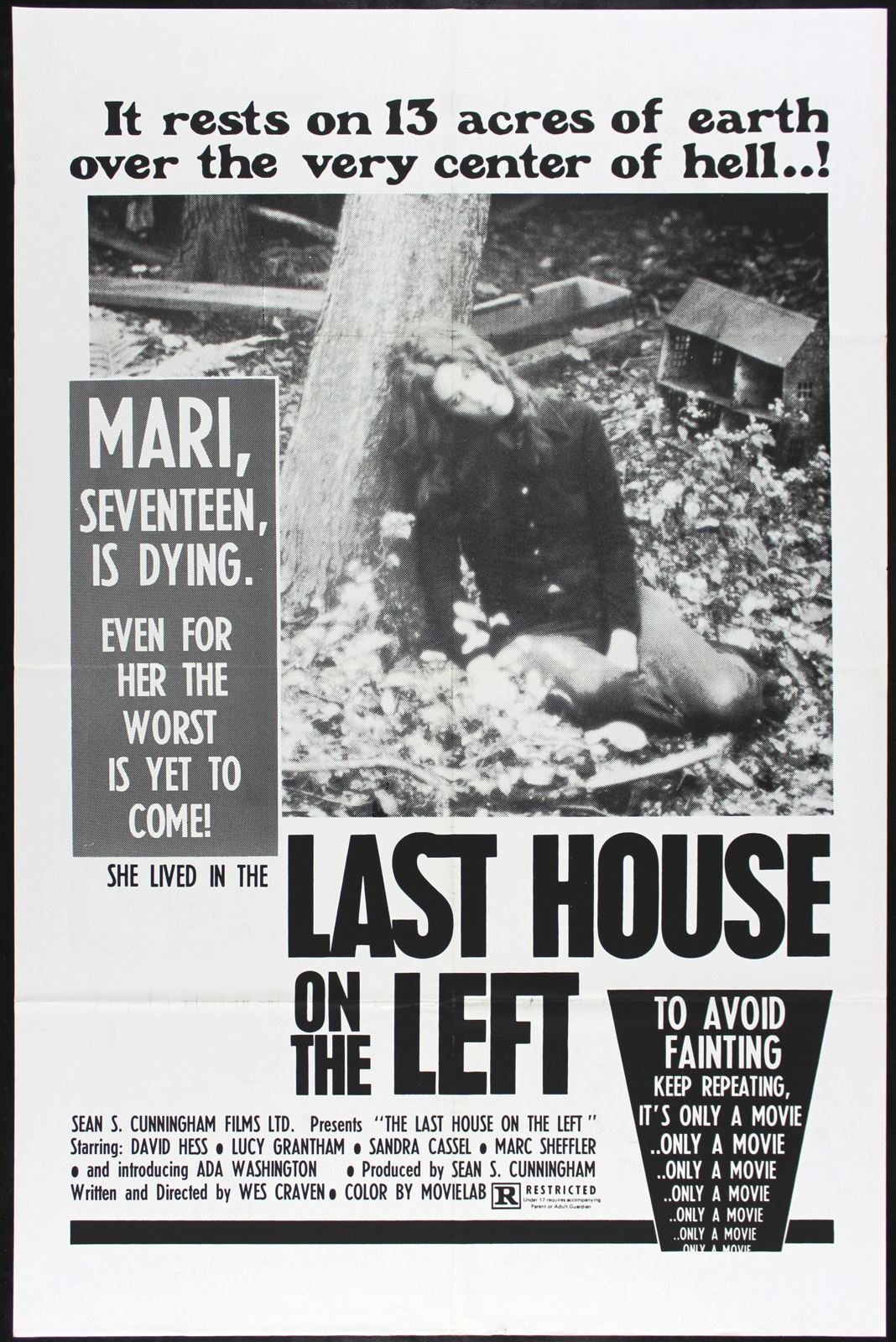 Original The Last House on the Left movie poster