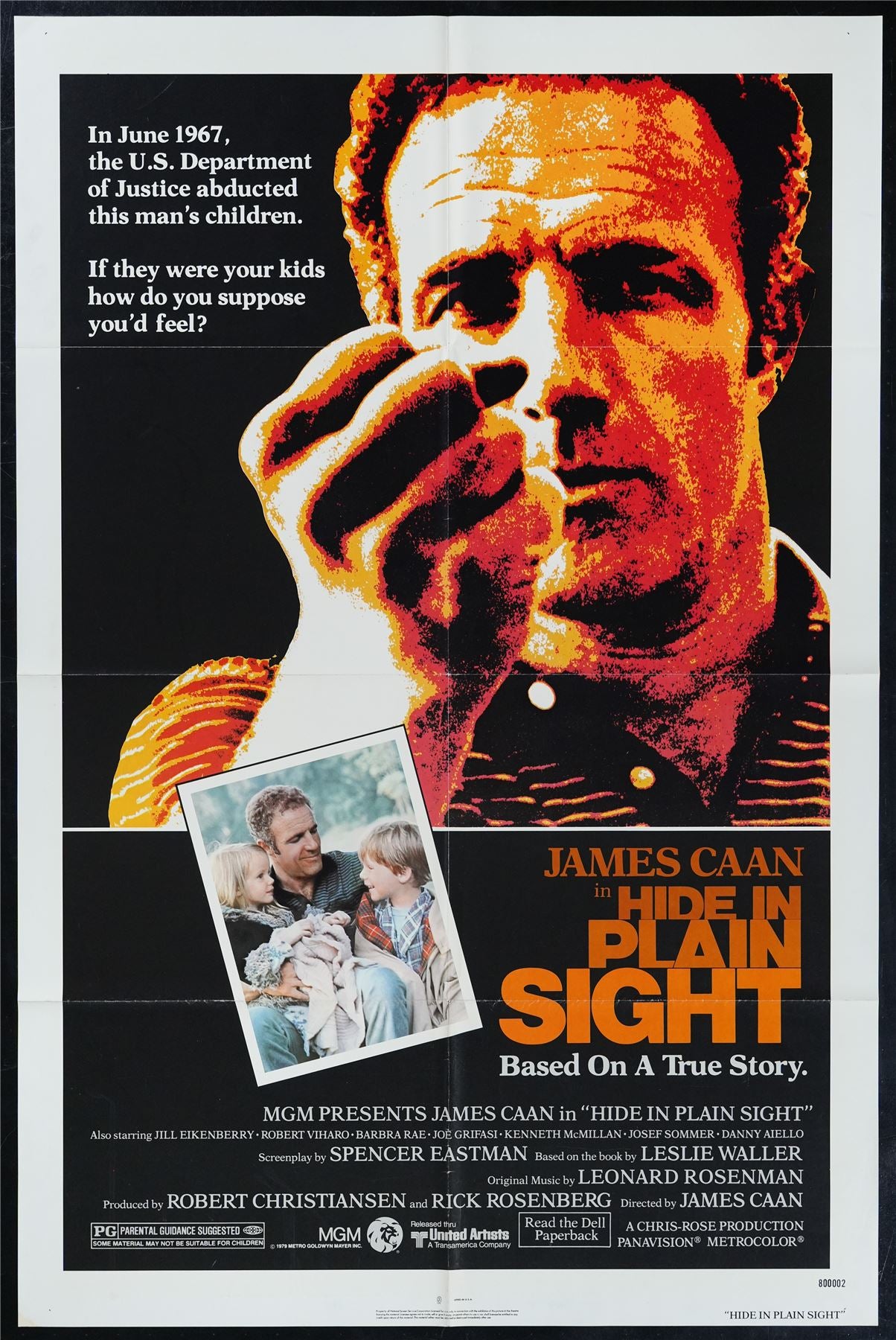 Original Hide in Plain Sight movie poster