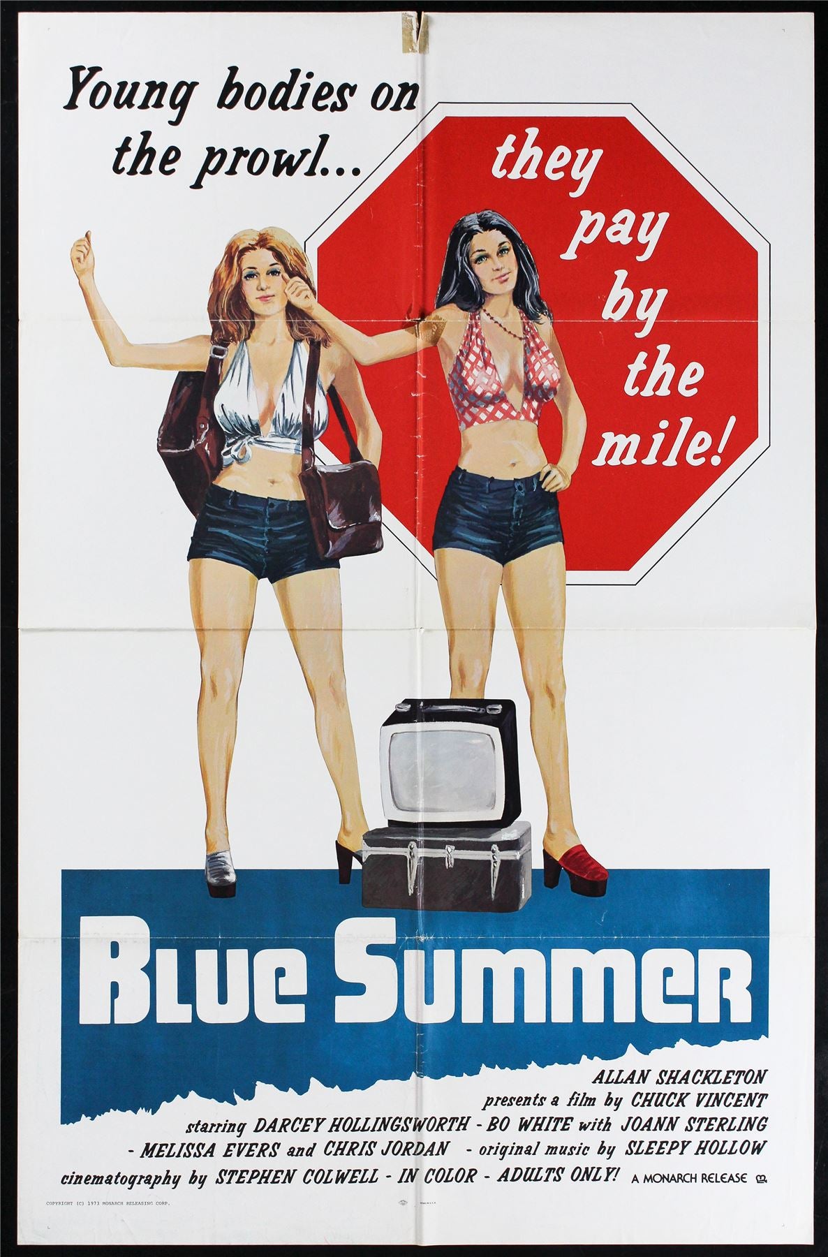 Original Blue Summer movie poster