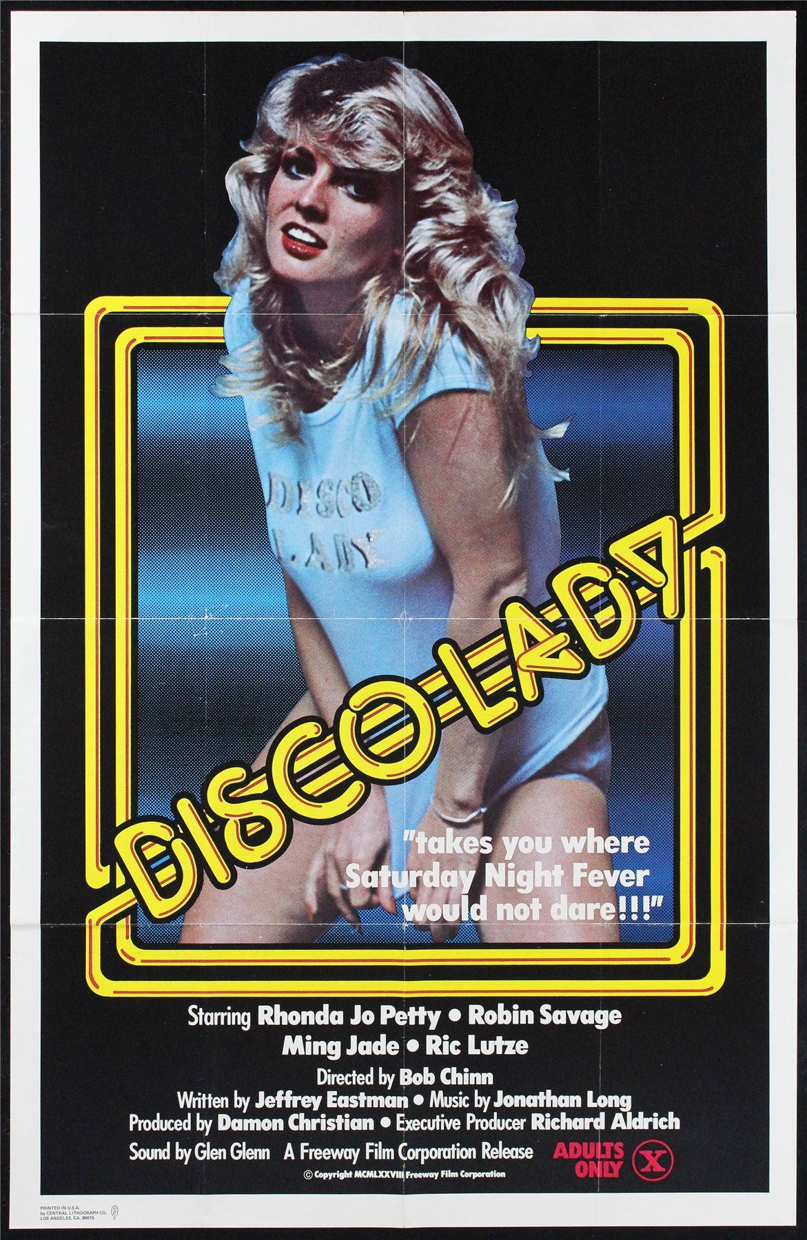 Original Disco Lady movie poster