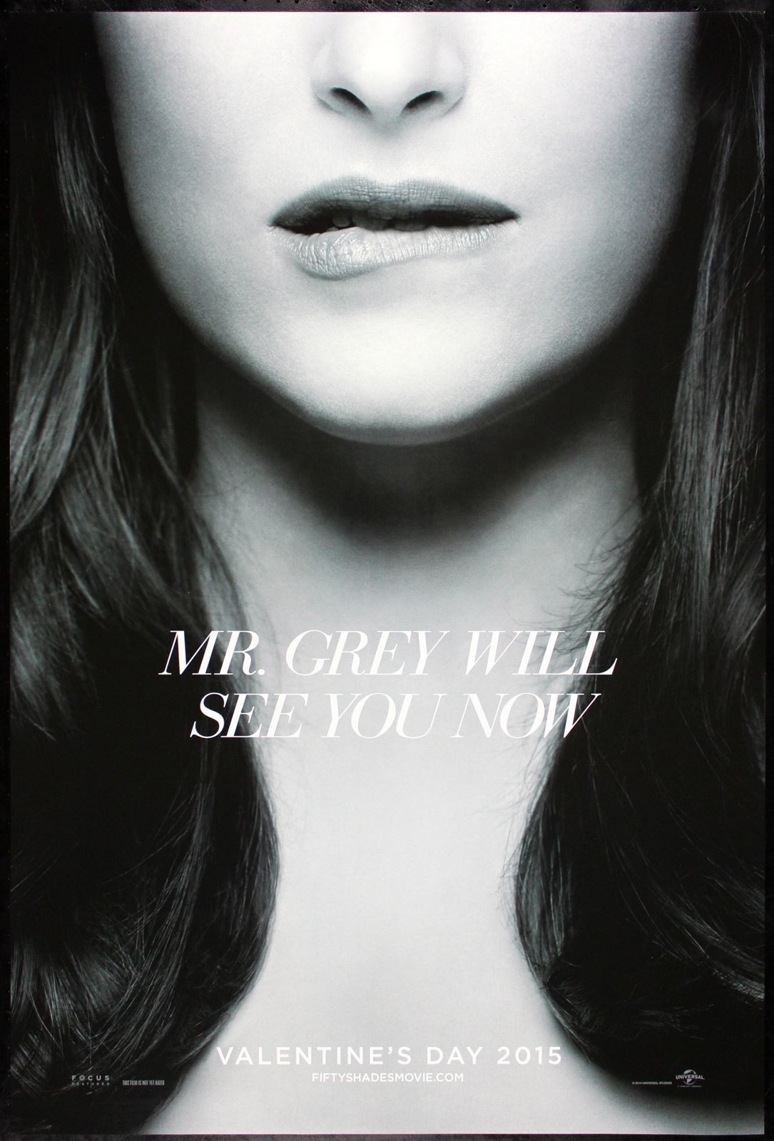 Original Fifty Shades of Grey movie poster