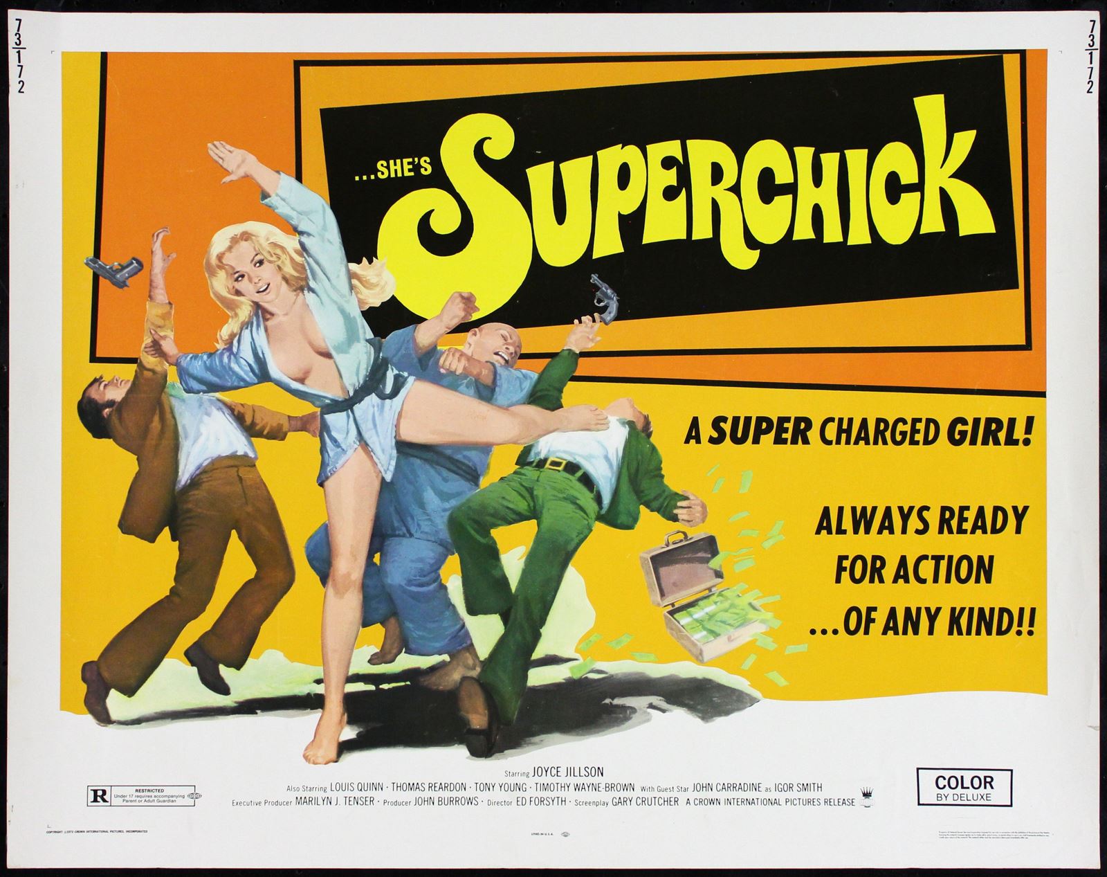 Superchick 1973 Original Movie Poster 22 X 28 CineMasterpieces superchick-1973-original-movie-poster-22-x-28-cinemasterpieces