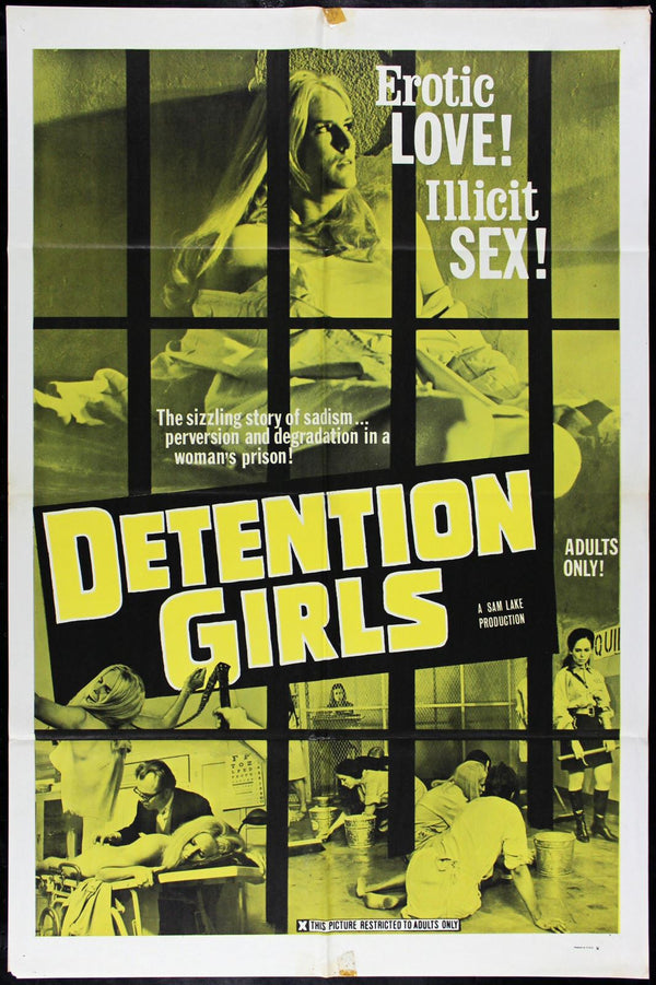 Original The Detention Girls movie poster