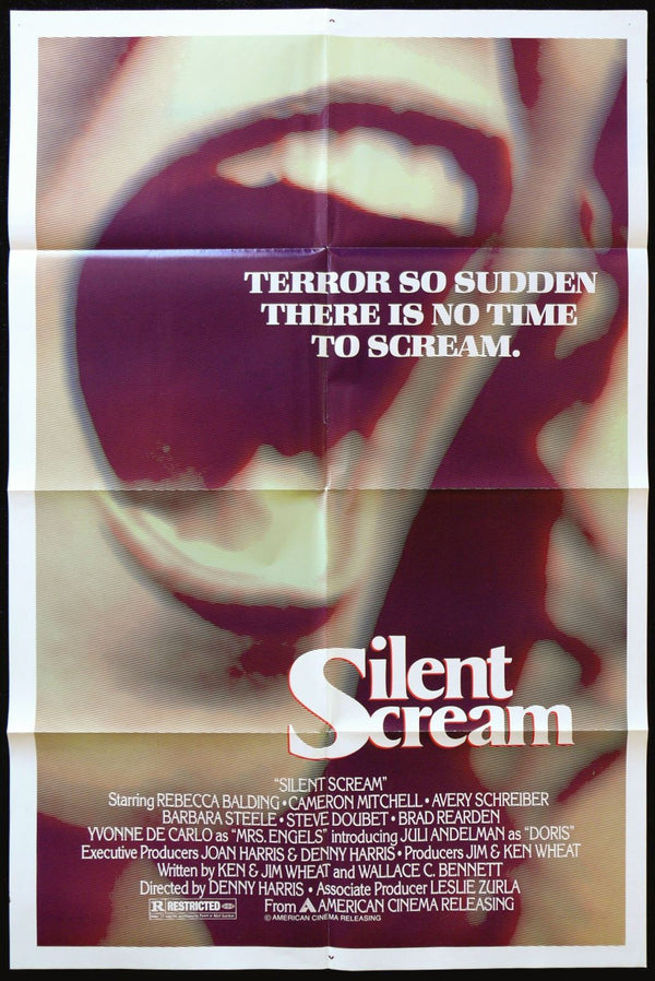 Original The Silent Scream movie poster