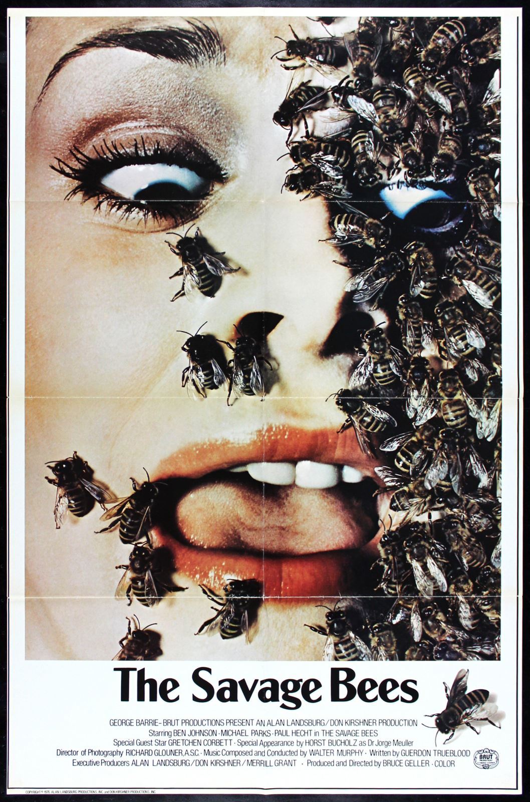 Original The Savage Bees movie poster