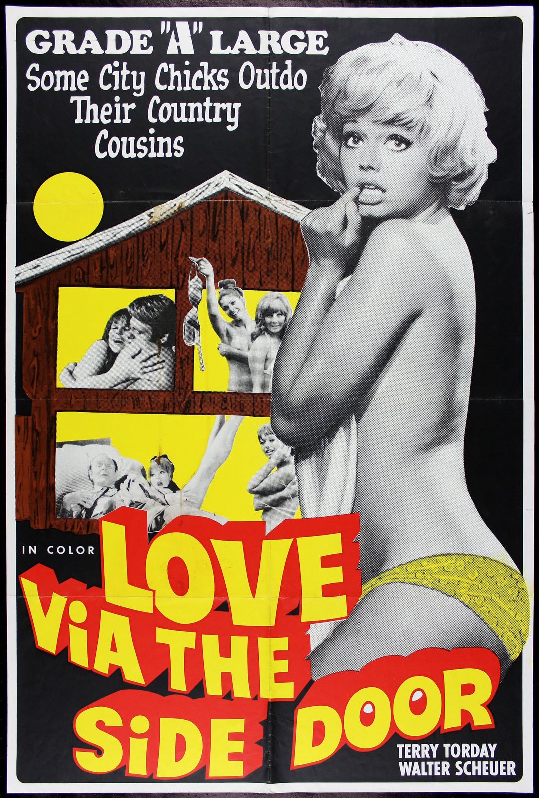 Original Love Via the Side Door movie poster