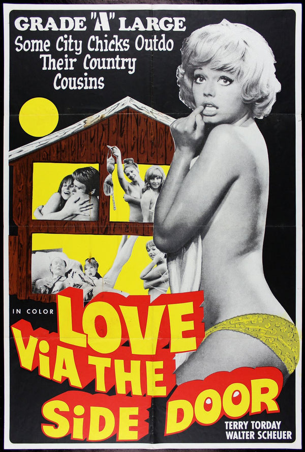 Original Love Via the Side Door movie poster