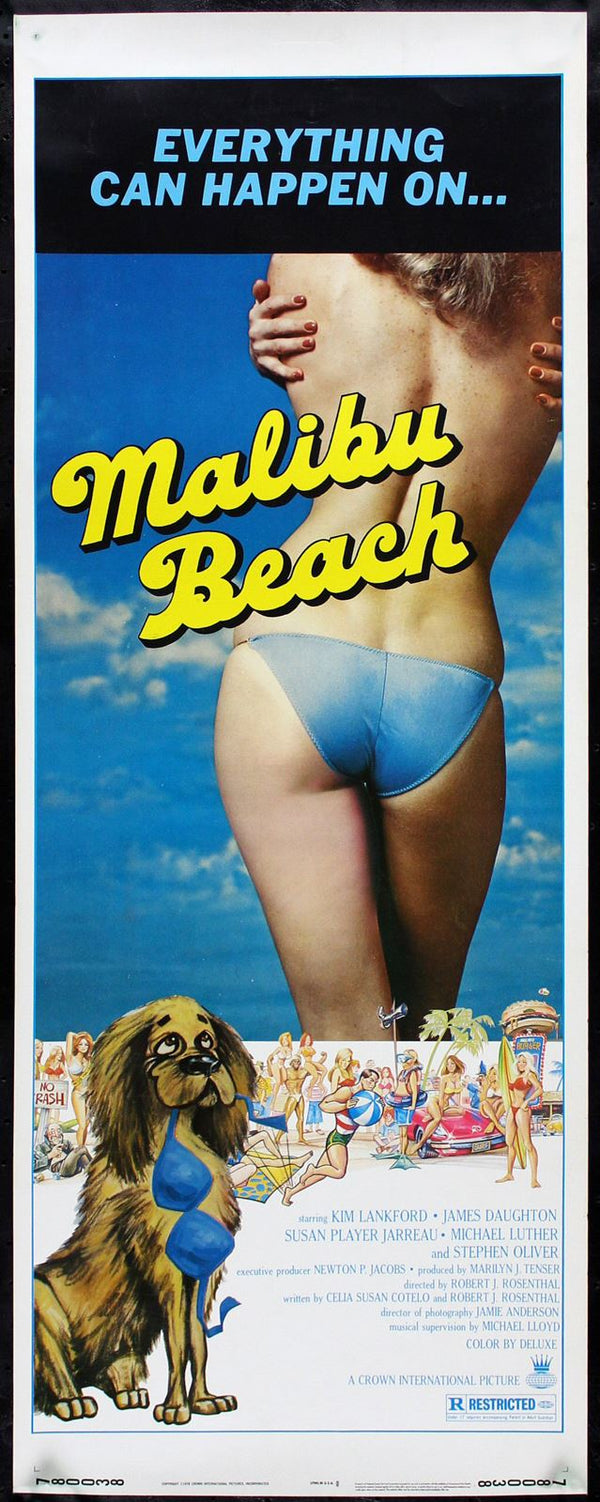 Original Malibu Beach movie poster